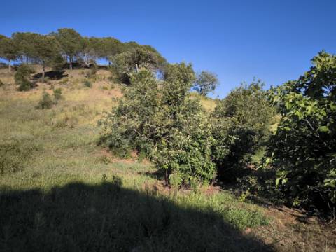 TERRENO COM 62.180 M2 - POSSIBILIDADE DE TURISMO RURAL - CONSTRUÇÃO PARA HABITAÇÃO - PRÓXIMO DA CORTE DO GAGO - CASTRO MARIM - ALGARVE