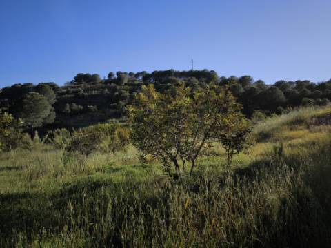 TERRENO COM 62.180 M2 - POSSIBILIDADE DE TURISMO RURAL - CONSTRUÇÃO PARA HABITAÇÃO - PRÓXIMO DA CORTE DO GAGO - CASTRO MARIM - ALGARVE