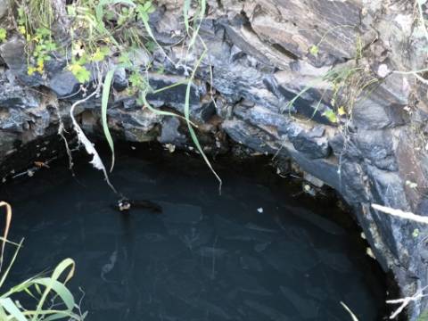 TERRENO COM 62.180 M2 - POSSIBILIDADE DE TURISMO RURAL - CONSTRUÇÃO PARA HABITAÇÃO - PRÓXIMO DA CORTE DO GAGO - CASTRO MARIM - ALGARVE