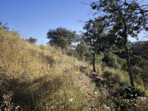 TERRENO COM 62.180 M2 - POSSIBILIDADE DE TURISMO RURAL - CONSTRUÇÃO PARA HABITAÇÃO - PRÓXIMO DA CORTE DO GAGO - CASTRO MARIM - ALGARVE