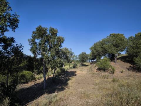 TERRENO COM 62.180 M2 - POSSIBILIDADE DE TURISMO RURAL - CONSTRUÇÃO PARA HABITAÇÃO - PRÓXIMO DA CORTE DO GAGO - CASTRO MARIM - ALGARVE