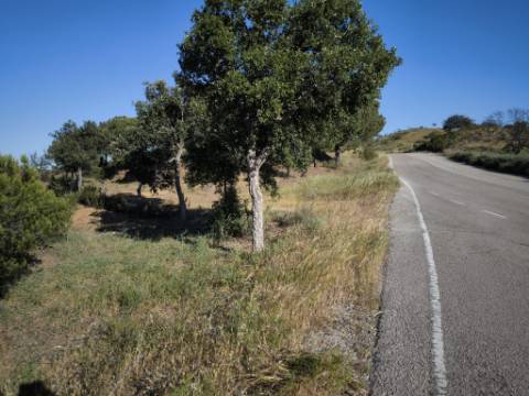TERRENO COM 62.180 M2 - POSSIBILIDADE DE TURISMO RURAL - CONSTRUÇÃO PARA HABITAÇÃO - PRÓXIMO DA CORTE DO GAGO - CASTRO MARIM - ALGARVE