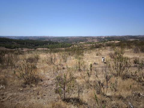TERRENO URBANO - COM POSSIBILIDADE DE CONSTRUÇÃO MORADIA E TURISMO - VISTA LAGO E VISTA MAR - BRENHOSA - ODELEITE - CASTRO MARIM - ALGARVE
