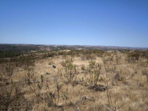 TERRENO URBANO - COM POSSIBILIDADE DE CONSTRUÇÃO MORADIA E TURISMO - VISTA LAGO E VISTA MAR - BRENHOSA - ODELEITE - CASTRO MARIM - ALGARVE