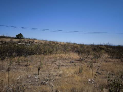 TERRENO URBANO - COM POSSIBILIDADE DE CONSTRUÇÃO MORADIA E TURISMO - VISTA LAGO E VISTA MAR - BRENHOSA - ODELEITE - CASTRO MARIM - ALGARVE