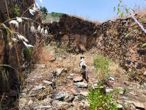TERRENO COM 4.560 m2 - COM RUINA DE 100 M2 - ARRECADAÇÃO - JUNTO A BARRAGEM DO BELICHE - BARREIROS - CASTRO MARIM - ALGARVE