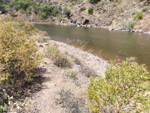 TERRENO COM 4.560 m2 - COM RUINA DE 100 M2 - ARRECADAÇÃO - JUNTO A BARRAGEM DO BELICHE - BARREIROS - CASTRO MARIM - ALGARVE