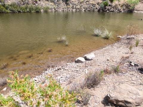 TERRENO COM 4.560 m2 - COM RUINA DE 100 M2 - ARRECADAÇÃO - JUNTO A BARRAGEM DO BELICHE - BARREIROS - CASTRO MARIM - ALGARVE