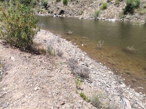 TERRENO COM 4.560 m2 - COM RUINA DE 100 M2 - ARRECADAÇÃO - JUNTO A BARRAGEM DO BELICHE - BARREIROS - CASTRO MARIM - ALGARVE