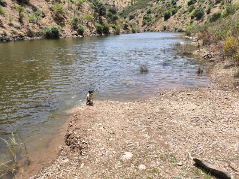 TERRENO COM 4.560 m2 - COM RUINA DE 100 M2 - ARRECADAÇÃO - JUNTO A BARRAGEM DO BELICHE - BARREIROS - CASTRO MARIM - ALGARVE