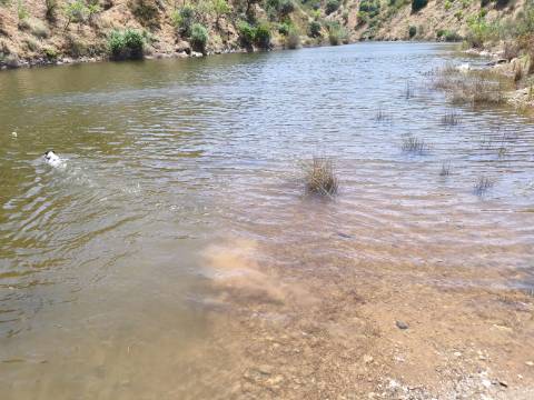 TERRENO COM 4.560 m2 - COM RUINA DE 100 M2 - ARRECADAÇÃO - JUNTO A BARRAGEM DO BELICHE - BARREIROS - CASTRO MARIM - ALGARVE