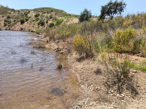 TERRENO COM 4.560 m2 - COM RUINA DE 100 M2 - ARRECADAÇÃO - JUNTO A BARRAGEM DO BELICHE - BARREIROS - CASTRO MARIM - ALGARVE