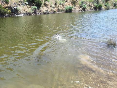 TERRENO COM 4.560 m2 - COM RUINA DE 100 M2 - ARRECADAÇÃO - JUNTO A BARRAGEM DO BELICHE - BARREIROS - CASTRO MARIM - ALGARVE