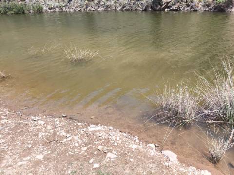 TERRENO COM 4.560 m2 - COM RUINA DE 100 M2 - ARRECADAÇÃO - JUNTO A BARRAGEM DO BELICHE - BARREIROS - CASTRO MARIM - ALGARVE