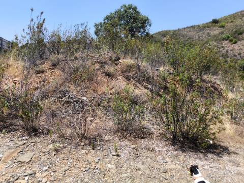TERRENO COM 4.560 m2 - COM RUINA DE 100 M2 - ARRECADAÇÃO - JUNTO A BARRAGEM DO BELICHE - BARREIROS - CASTRO MARIM - ALGARVE