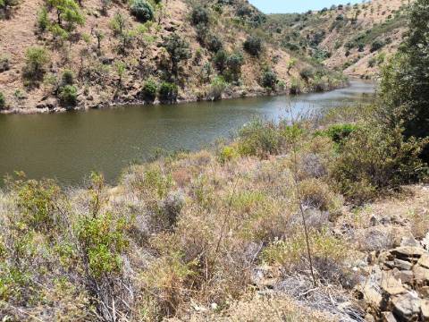 TERRENO COM 4.560 m2 - COM RUINA DE 100 M2 - ARRECADAÇÃO - JUNTO A BARRAGEM DO BELICHE - BARREIROS - CASTRO MARIM - ALGARVE