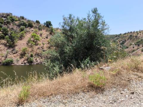 TERRENO COM 4.560 m2 - COM RUINA DE 100 M2 - ARRECADAÇÃO - JUNTO A BARRAGEM DO BELICHE - BARREIROS - CASTRO MARIM - ALGARVE