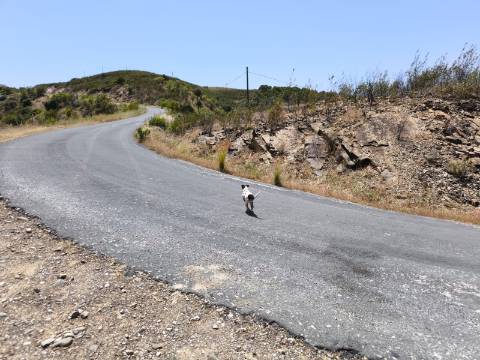 TERRENO COM 4.560 m2 - COM RUINA DE 100 M2 - ARRECADAÇÃO - JUNTO A BARRAGEM DO BELICHE - BARREIROS - CASTRO MARIM - ALGARVE