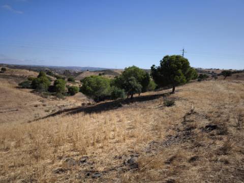 TERRENO COM 99.080 m2 - COM APOIO AGRICOLA EM RUINAS - POSSIBILIDADE DE CONSTRUÇÃO HABITAÇÃO E TURISMO - EM CAMPEIROS - CASTRO MARIM - ALGARVE