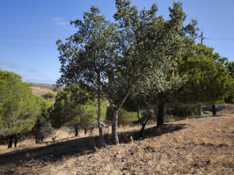 TERRENO COM 99.080 m2 - COM APOIO AGRICOLA EM RUINAS - POSSIBILIDADE DE CONSTRUÇÃO HABITAÇÃO E TURISMO - EM CAMPEIROS - CASTRO MARIM - ALGARVE