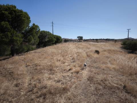 TERRENO COM 99.080 m2 - COM APOIO AGRICOLA EM RUINAS - POSSIBILIDADE DE CONSTRUÇÃO HABITAÇÃO E TURISMO - EM CAMPEIROS - CASTRO MARIM - ALGARVE