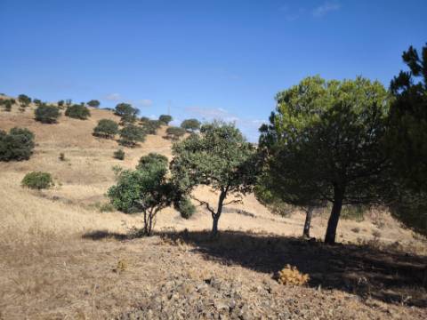 TERRENO COM 99.080 m2 - COM APOIO AGRICOLA EM RUINAS - POSSIBILIDADE DE CONSTRUÇÃO HABITAÇÃO E TURISMO - EM CAMPEIROS - CASTRO MARIM - ALGARVE