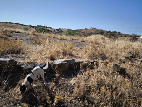 TERRENO COM 99.080 m2 - COM APOIO AGRICOLA EM RUINAS - POSSIBILIDADE DE CONSTRUÇÃO HABITAÇÃO E TURISMO - EM CAMPEIROS - CASTRO MARIM - ALGARVE
