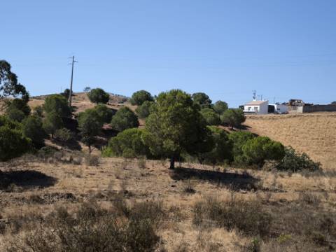 TERRENO COM 99.080 m2 - COM APOIO AGRICOLA EM RUINAS - POSSIBILIDADE DE CONSTRUÇÃO HABITAÇÃO E TURISMO - EM CAMPEIROS - CASTRO MARIM - ALGARVE