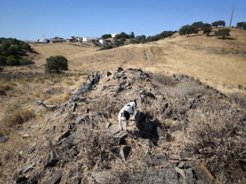 TERRENO COM 99.080 m2 - COM APOIO AGRICOLA EM RUINAS - POSSIBILIDADE DE CONSTRUÇÃO HABITAÇÃO E TURISMO - EM CAMPEIROS - CASTRO MARIM - ALGARVE