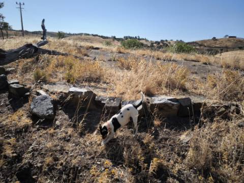 TERRENO COM 99.080 m2 - COM APOIO AGRICOLA EM RUINAS - POSSIBILIDADE DE CONSTRUÇÃO HABITAÇÃO E TURISMO - EM CAMPEIROS - CASTRO MARIM - ALGARVE