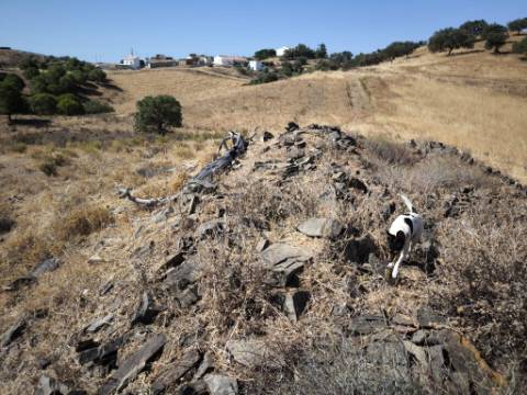TERRENO COM 99.080 m2 - COM APOIO AGRICOLA EM RUINAS - POSSIBILIDADE DE CONSTRUÇÃO HABITAÇÃO E TURISMO - EM CAMPEIROS - CASTRO MARIM - ALGARVE