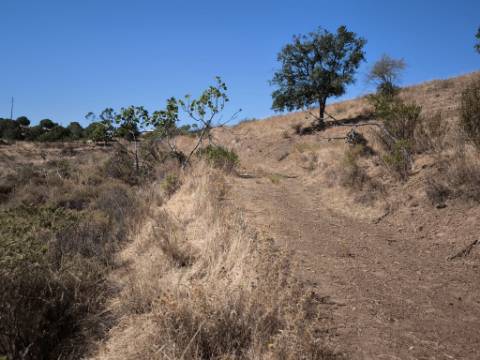 TERRENO COM 99.080 m2 - COM APOIO AGRICOLA EM RUINAS - POSSIBILIDADE DE CONSTRUÇÃO HABITAÇÃO E TURISMO - EM CAMPEIROS - CASTRO MARIM - ALGARVE