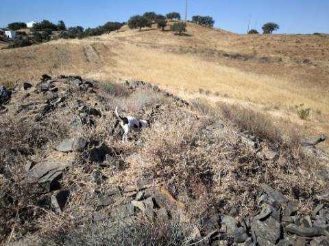TERRENO COM 99.080 m2 - COM APOIO AGRICOLA EM RUINAS - POSSIBILIDADE DE CONSTRUÇÃO HABITAÇÃO E TURISMO - EM CAMPEIROS - CASTRO MARIM - ALGARVE