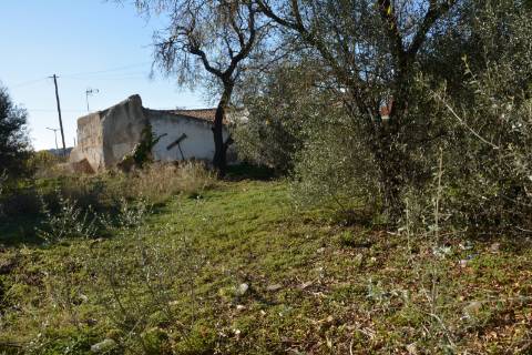 TERRENO COM POSSIBILIDADE PARA CONSTRUÇÃO 12 APARTAMENTOS
