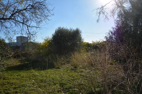 TERRENO COM POSSIBILIDADE PARA CONSTRUÇÃO 12 APARTAMENTOS