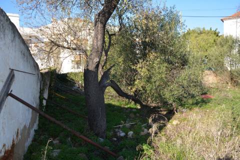 TERRENO COM POSSIBILIDADE PARA CONSTRUÇÃO 12 APARTAMENTOS