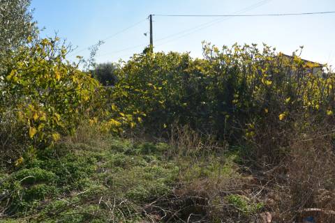 TERRENO COM POSSIBILIDADE PARA CONSTRUÇÃO 12 APARTAMENTOS