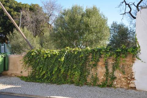 TERRENO COM POSSIBILIDADE PARA CONSTRUÇÃO 12 APARTAMENTOS