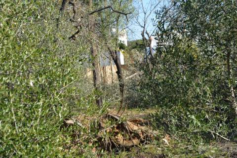 TERRENO COM POSSIBILIDADE PARA CONSTRUÇÃO 12 APARTAMENTOS