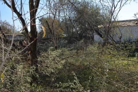 TERRENO COM POSSIBILIDADE PARA CONSTRUÇÃO 12 APARTAMENTOS