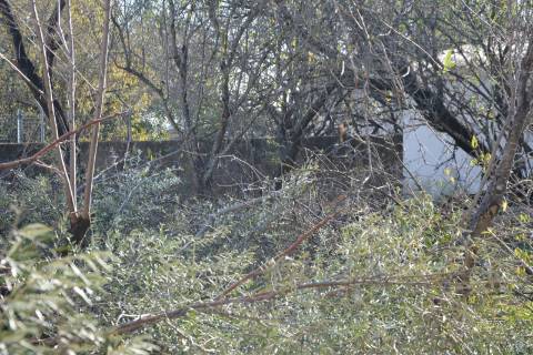 TERRENO COM POSSIBILIDADE PARA CONSTRUÇÃO 12 APARTAMENTOS