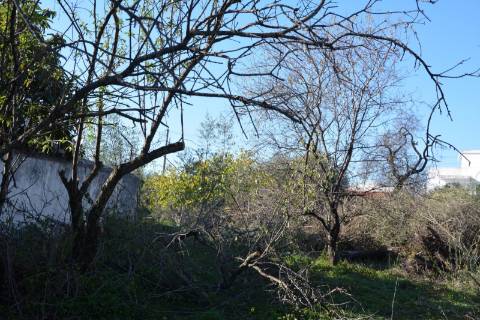 TERRENO COM POSSIBILIDADE PARA CONSTRUÇÃO 12 APARTAMENTOS