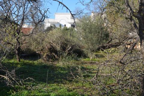 TERRENO COM POSSIBILIDADE PARA CONSTRUÇÃO 12 APARTAMENTOS