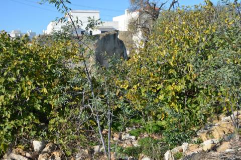 TERRENO COM POSSIBILIDADE PARA CONSTRUÇÃO 12 APARTAMENTOS