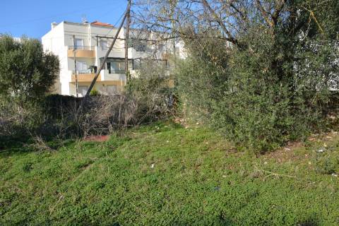 TERRENO COM POSSIBILIDADE PARA CONSTRUÇÃO 12 APARTAMENTOS