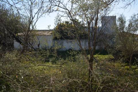 TERRENO COM POSSIBILIDADE PARA CONSTRUÇÃO 12 APARTAMENTOS