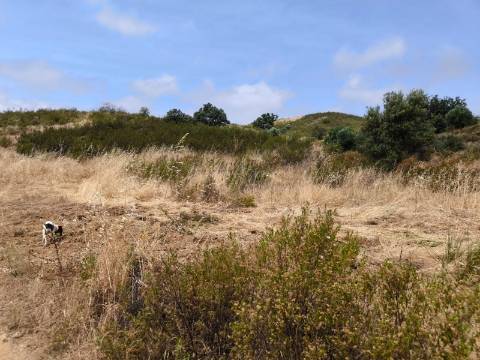 TERRENO COM 41.760 M2 - COM POSSIBILIDADE DE CONSTRUIR APOIO AGRICOLA - PISA BARRO - EM CASTRO MARIM - ALGARVE