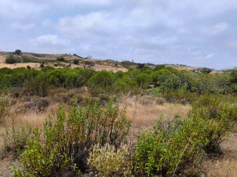 TERRENO COM 41.760 M2 - COM POSSIBILIDADE DE CONSTRUIR APOIO AGRICOLA - PISA BARRO - EM CASTRO MARIM - ALGARVE