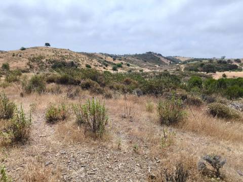 TERRENO COM 41.760 M2 - COM POSSIBILIDADE DE CONSTRUIR APOIO AGRICOLA - PISA BARRO - EM CASTRO MARIM - ALGARVE