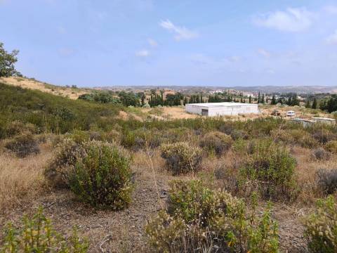 TERRENO COM 41.760 M2 - COM POSSIBILIDADE DE CONSTRUIR APOIO AGRICOLA - PISA BARRO - EM CASTRO MARIM - ALGARVE